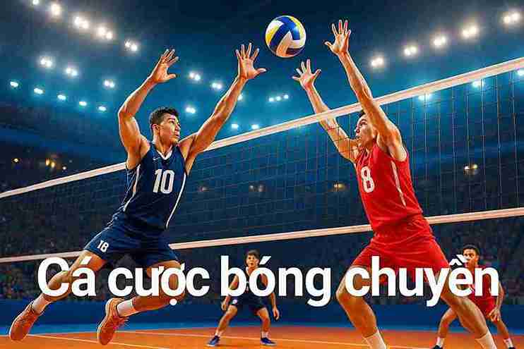 Cá cược bóng chuyền tại VIP666 - Trải nghiệm đỉnh cao